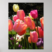 tulpan print