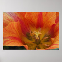 Tulpan Print