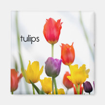 Tulpankylskåpmagnet Kylskåps Magneter
