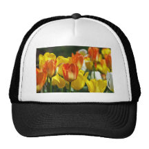 Tulpen Garten Baseball Kappen