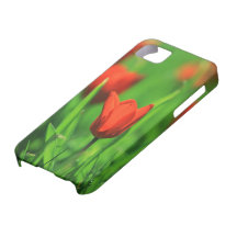 Tulpen iPhone 5 Etui