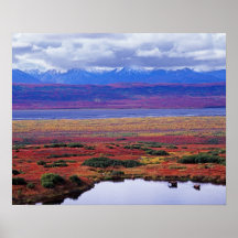 Tundraen av den Denali nationalparken i det sent Print