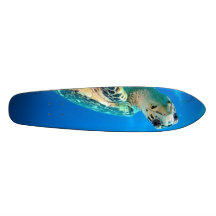turtleboard skate board decks