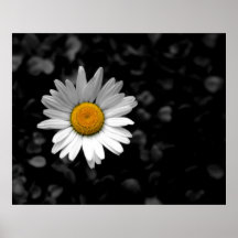 tusensköna posters