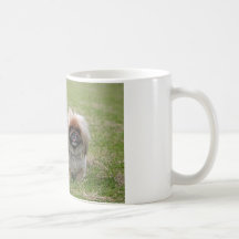 Två för lycklig valpar lite kaffe koppar