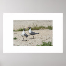 Två seagulls. affisch