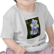 Two Columbines T-shirt