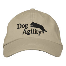 Tysk herde för Agility Hatt