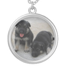 Tyskt herdehalsband för sterling silver