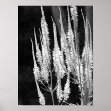 Tyst natt print