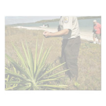 U.S. Fisk- och djurlivanställd tittar yucca p Anpassade Tillkännagivande