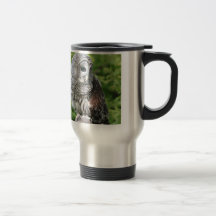 Ugglaögon synar härligt bäst skräddarsy kaffe muggar