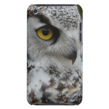 UgglaPhotograh nära övre Barely There iPod Cover