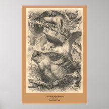 Ugglorna Print