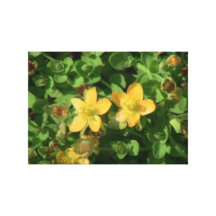 Umatilla Oregon flora blommar växtbotanik Sträckta Kanvas Tryck