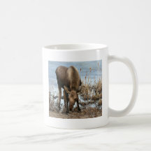 Ung älg kaffe mugg