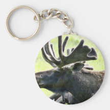 Ung älg nyckel ring