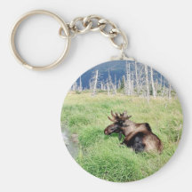 Ung älg nyckel ring