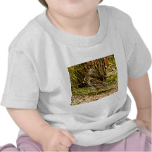 Ung Coopershök T-shirts