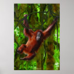 Ung Orangutan i affisch för djungeldjurlivkonst