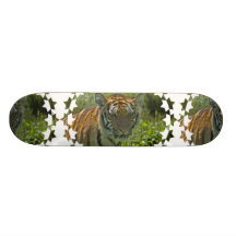 Ung tigerungeSkateboard