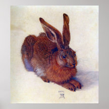 Unga Hare av Albrecht Durer, renaissancekonst Affisch