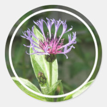 Ungkarlen knäppas blommafotoklistermärkear