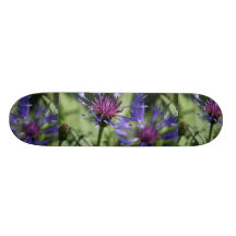 Ungkarlen knäppas skateboarden