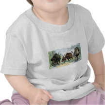 Ungulate: vildsvin tee shirt