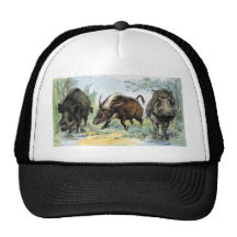 Ungulate: vildsvin trucker keps