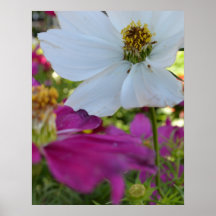 Unik blommamakro affischer