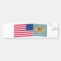 United States & Delaware flaggor Bildekaler