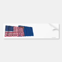 United States och Nevada som vinkar flaggor Bildekal