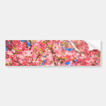 Upp ett rosa rött Dogwoodträd Bildekal