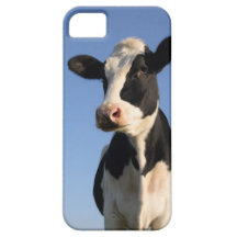 Uppmärksam ko iPhone 5 Case-Mate fodraler