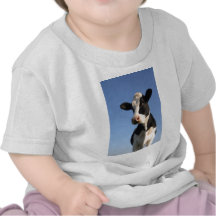 Uppmärksam ko t shirts