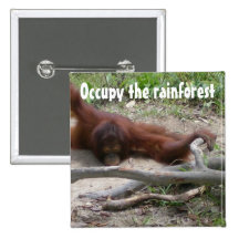 Uppta rainforesten knappar