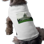 Us-huvudstadbyggnaden Hund Kläder