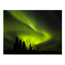 USA Alaska, Chena Hot Springs. Norrsken 2 Vykort