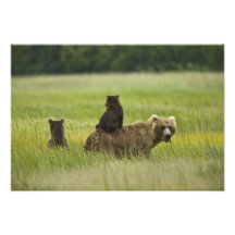 USA Alaska, sjöClark nationalpark. A Konstfoto