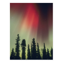 USA Fairbanks område, central Alaska, aurora Vykort