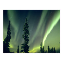 USA Fairbanks område, central Alaska, aurora Vykort