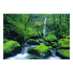 USA Oregon, Columbia River klyftamedborgare 3 Fotokonst