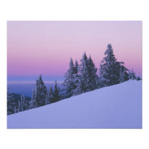 USA Oregon, Deschutes nationalskog, skymning Fotokonst