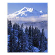 USA Oregon, Deschutes nationalskog som är södra Fotokonst