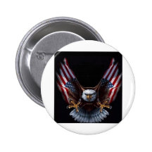 USA ÖRN KNAPP MED NÅL