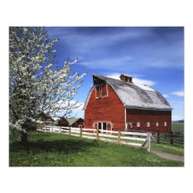 USA Washington, Ellensburg, ladugård Fotontryck