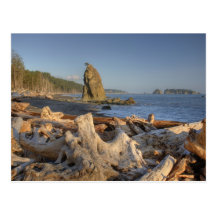 USA Washington, olympisk nationalpark, Rialto Vykort