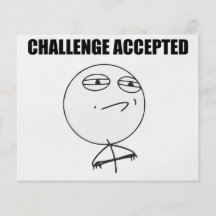 Utmaning accepterad ursinneansiktetecknad Meme Custom Flyer