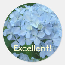 Utmärkt! Vanlig hortensia för klistermärkelärareun